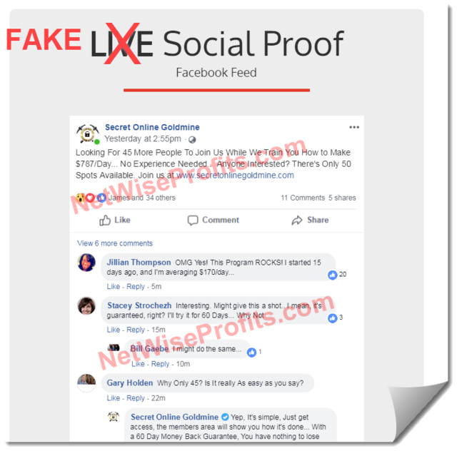 fake social proof | NetWiseProfits.com