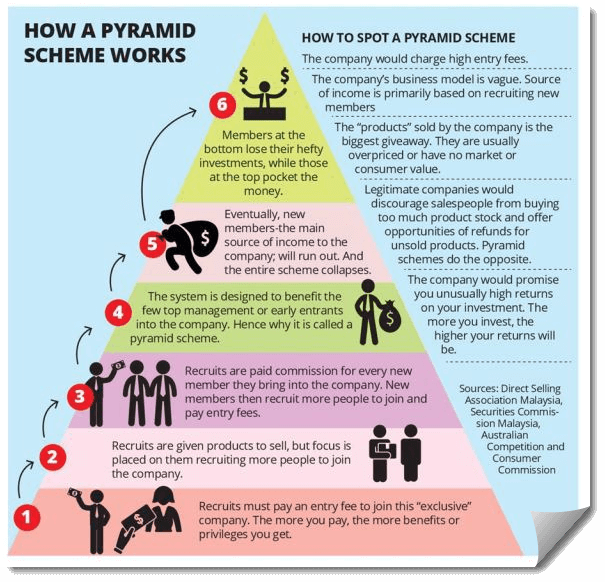 Pyramid Scheme Infographic