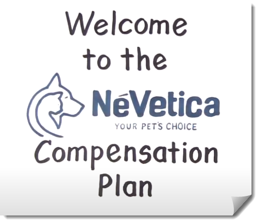 compensation plan video